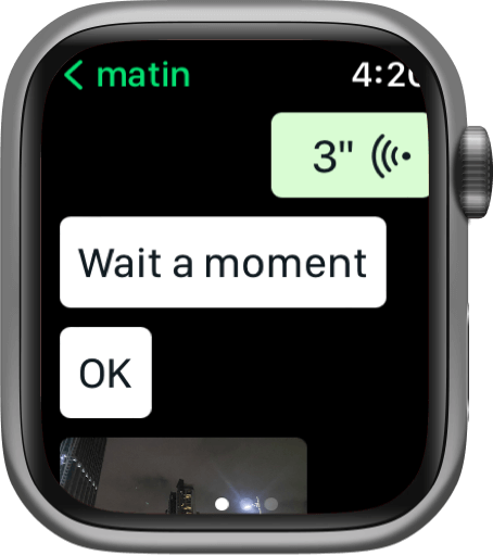 whatsapp message list on apple watch, contains text, photo, audio, emoji, video, gif